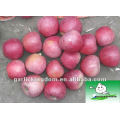 Manzanas frescas de Qinguan